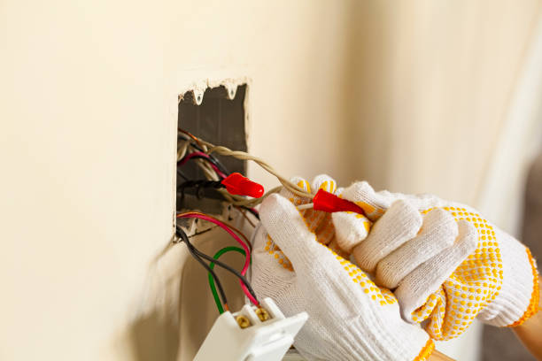 Best Surge Protection Installation  in Mcalmont, AR